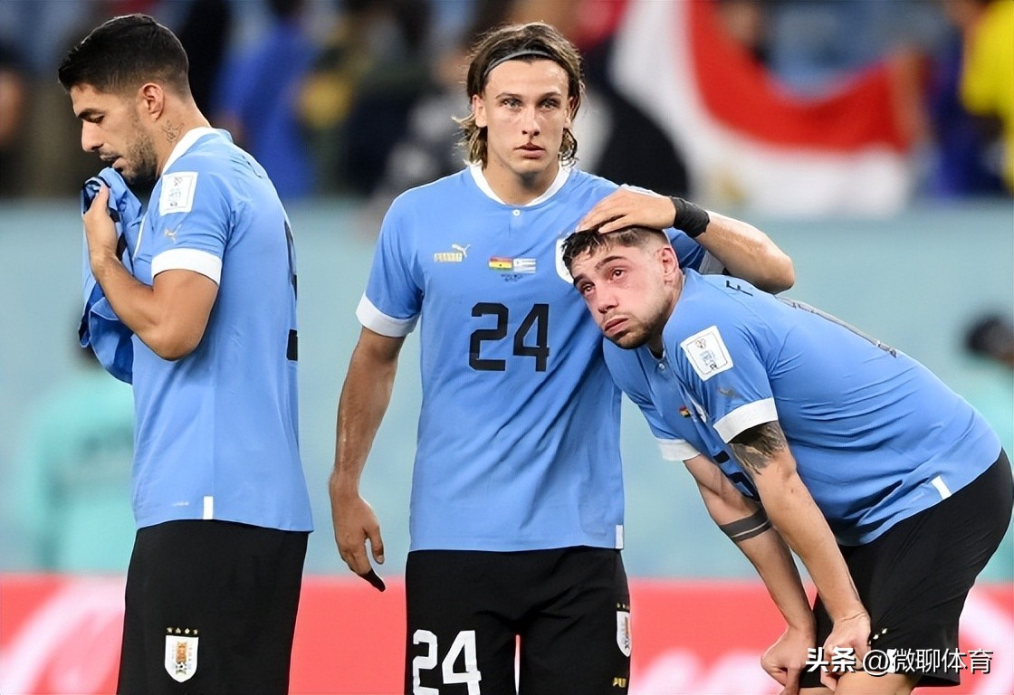 世界杯韩国积分榜最新排名,世界杯葡萄牙惨败