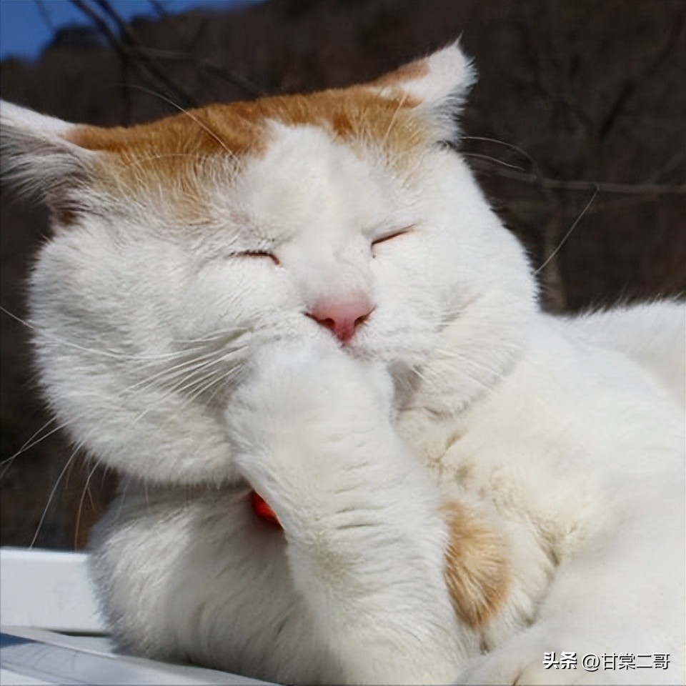 立足于防守,立足于防