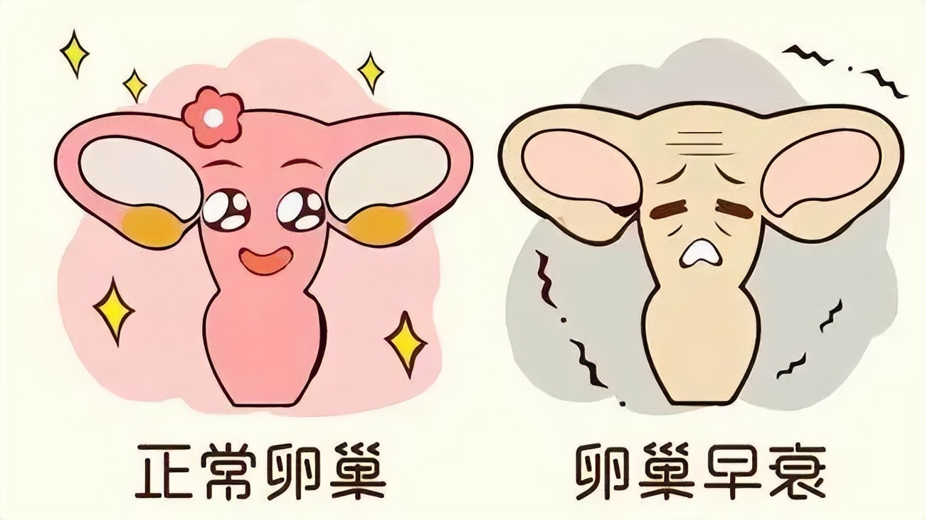 绝经后切除子宫对身体有什么影响,子宫脱垂切除子宫对身体有影响吗