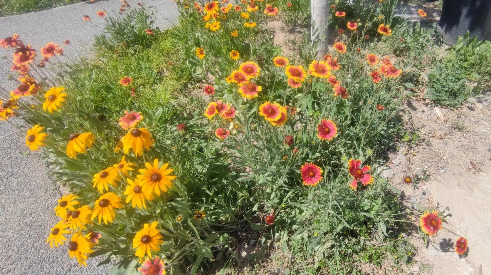 贵州足球在哪里比赛,足球开球贵州人