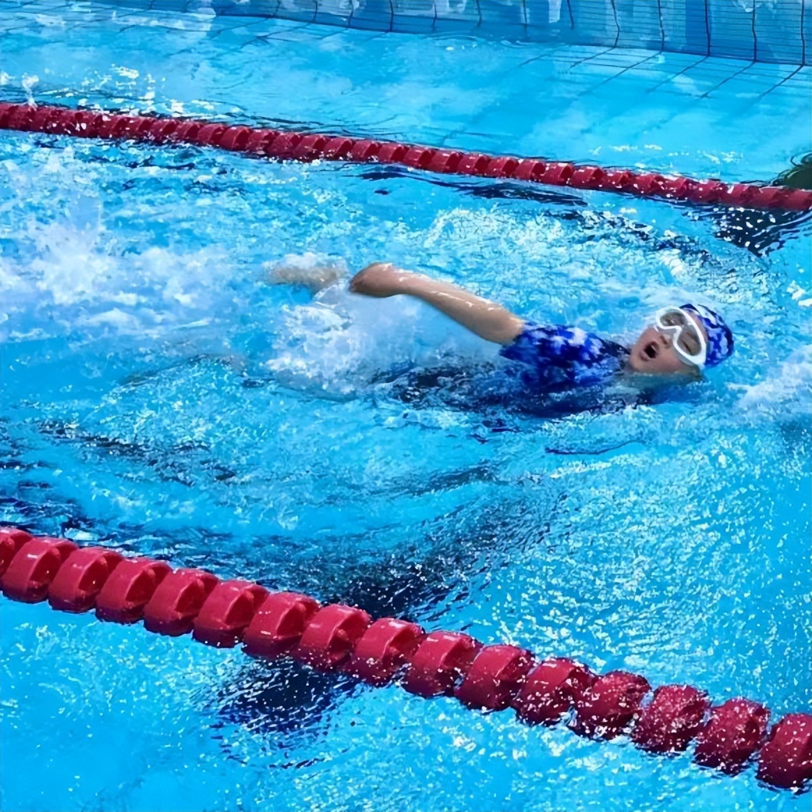 2022福布斯中国国际化学校排行榜,中国国际化学校百强福布斯