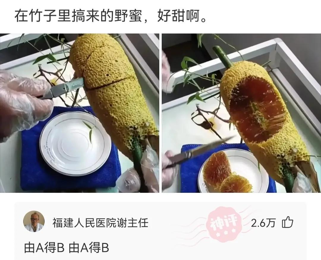 神回复不给钱的句子,神回复给你500万