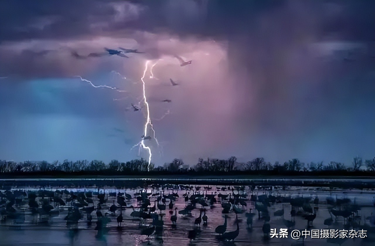 108张令人惊讶的历史与自然照片,有颠覆你认知的那张吗?