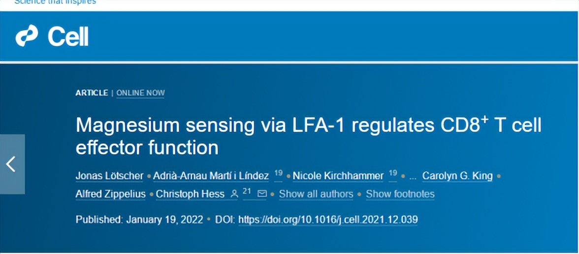 癌细胞正确吃法,癌细胞最怕的一种食物一定要常吃
