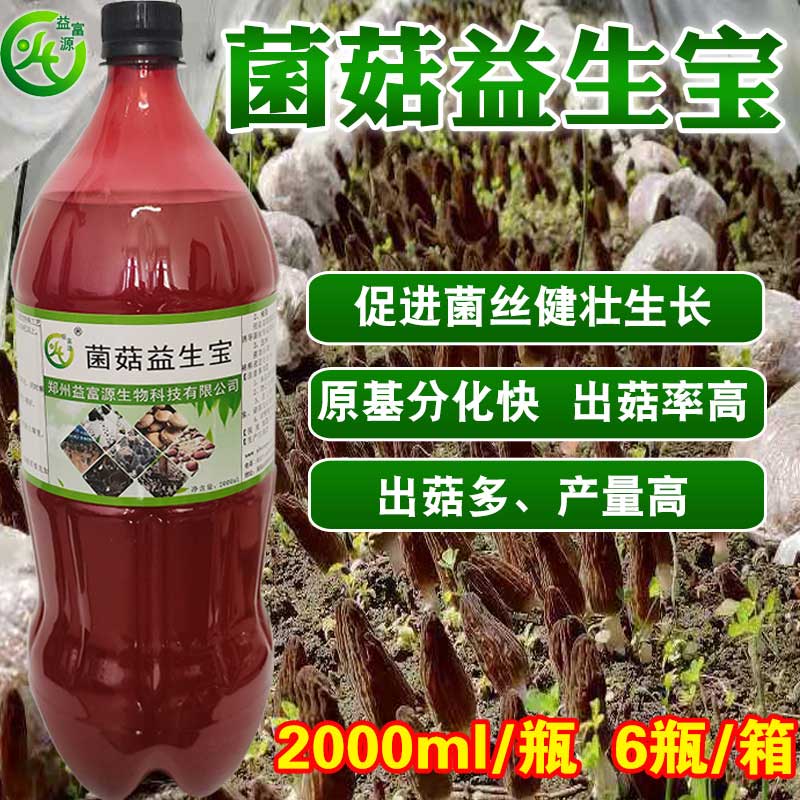 玉米芯栽培平菇,发酵料栽培平菇