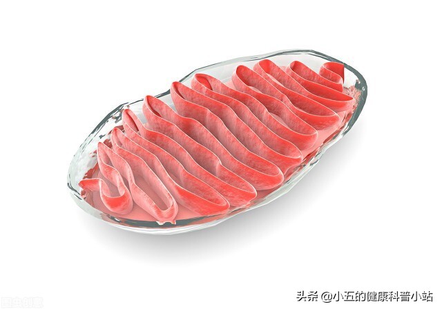 老年人脑萎缩有什么好的治疗方法,老人脑萎缩怎么办三种办法助恢复