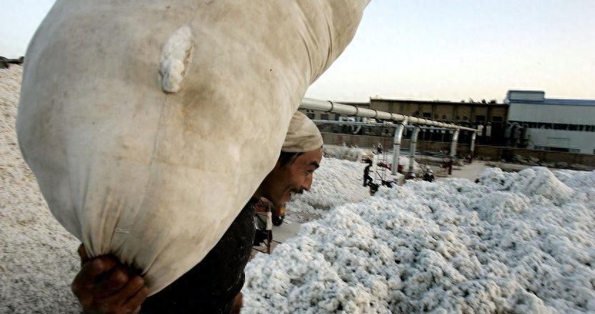 女汉奸袁莉还能回国吗,现代女汉奸袁莉