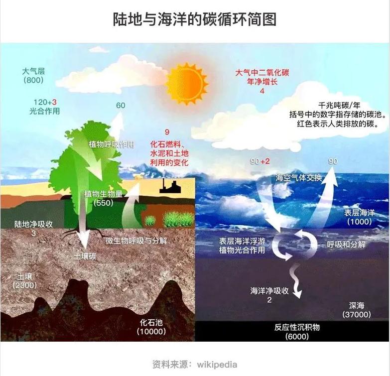 没有资源怎么开发林业碳汇,如何让林业碳汇项目变得容易