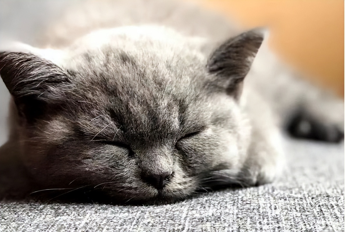 保健品行业内幕揭秘,保健品公司套路大揭秘