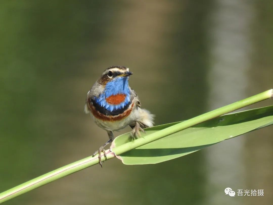 砂石坑什么时候挖出来,砂石石槽图片