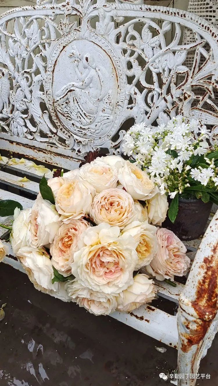 第八届园丁奖露台组《030号》洛基花园