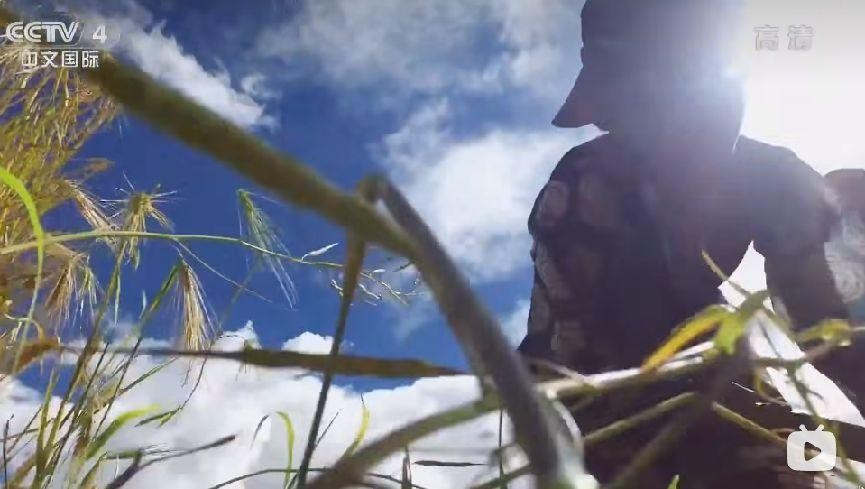 路见西藏语录,路见西藏飞驰人生