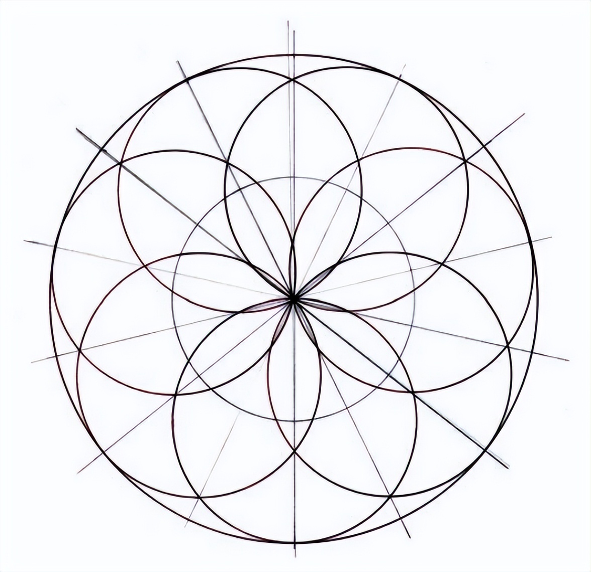 几何之花2：圆的内部分裂