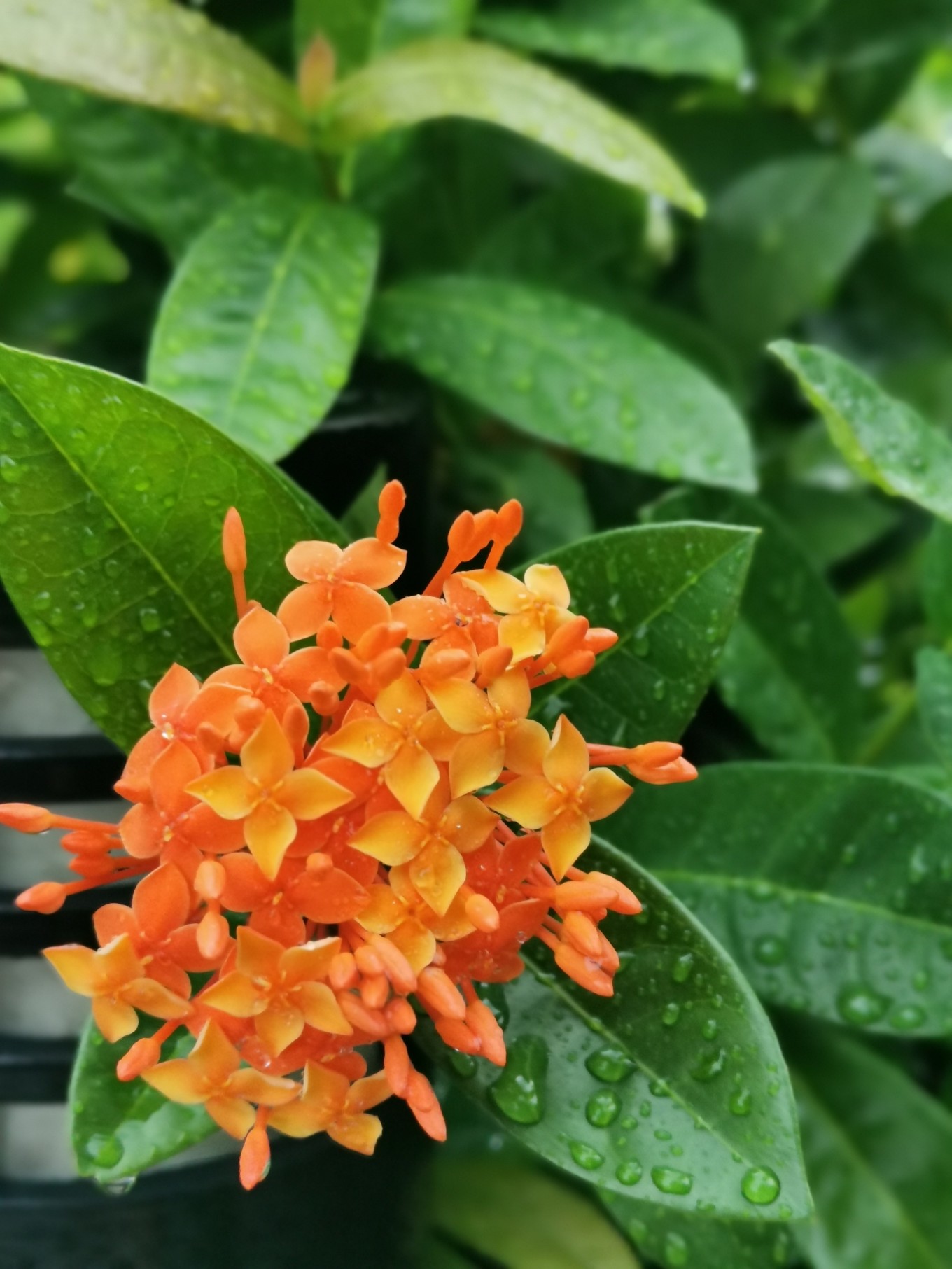 北海是一座令人向往的城市吗,北海是浪漫的城市