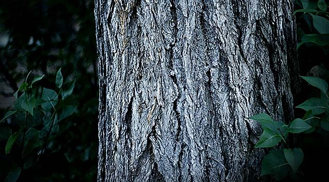 湖南男子怪病,湖南男子身患怪病20多年