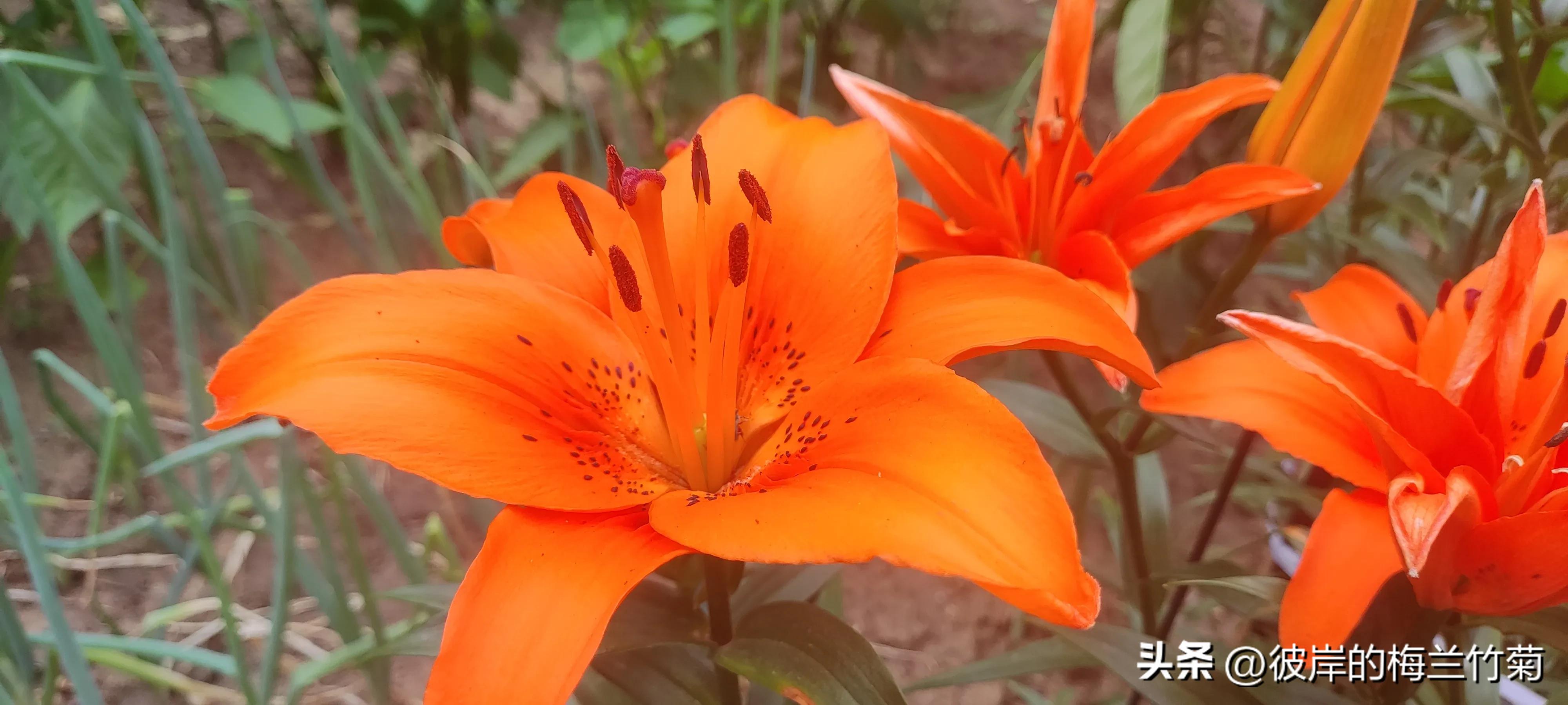 fbi教你10秒钟读懂面部微表情,fbi教你十秒读懂面部微表情书