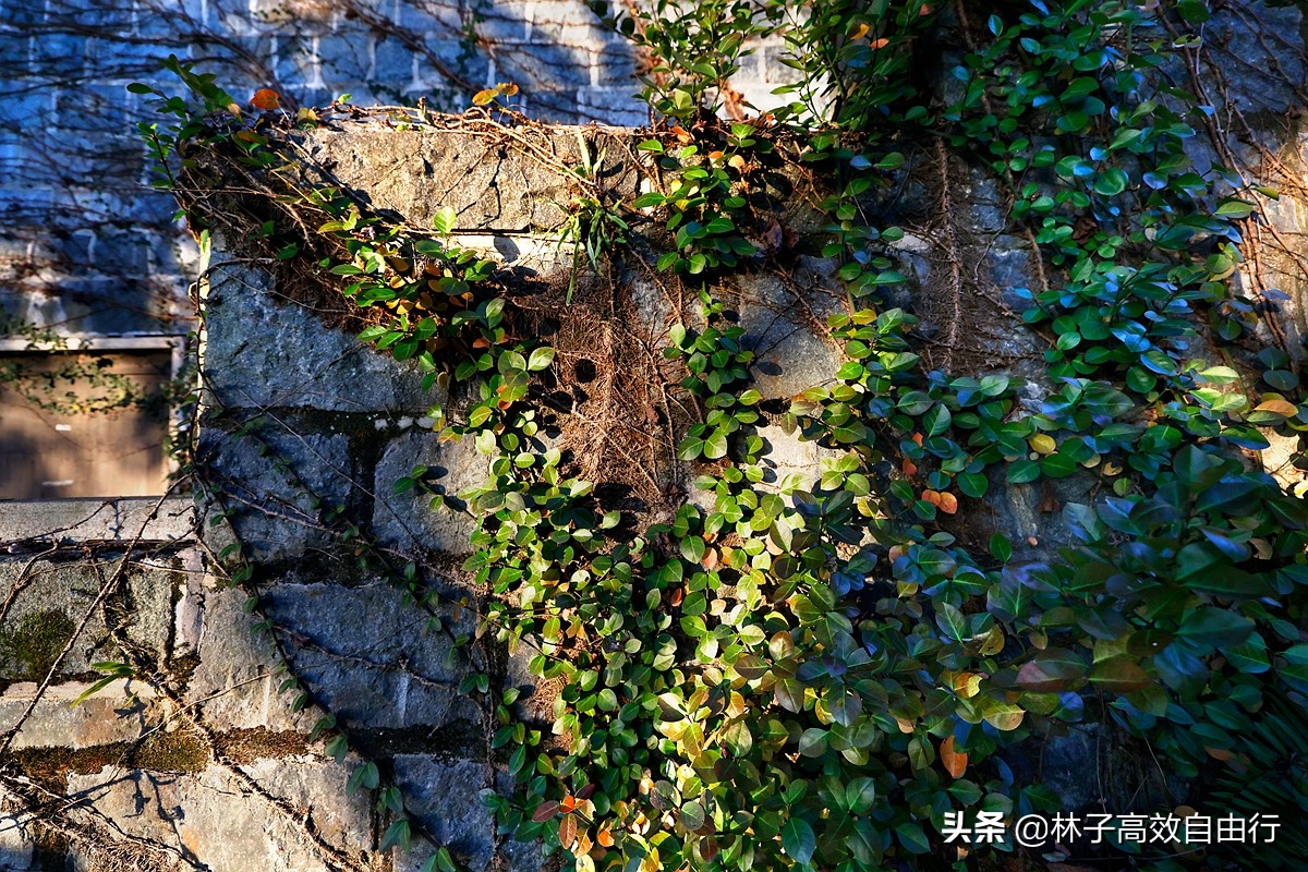 福州最新玩法,福州市区游玩攻略