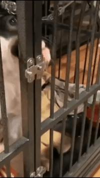 小哥也太菜了，不但没打中一个，还摔倒了，而且这不是足球