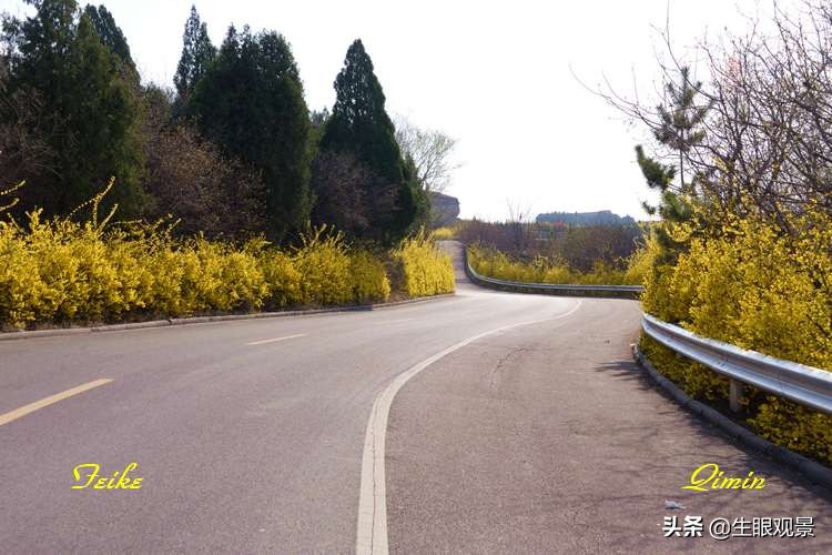北京近郊春景,济南近郊春景