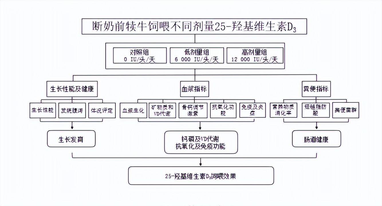 25羟基维生素d3对猪的作用,25-羟基维生素d3高了有影响吗