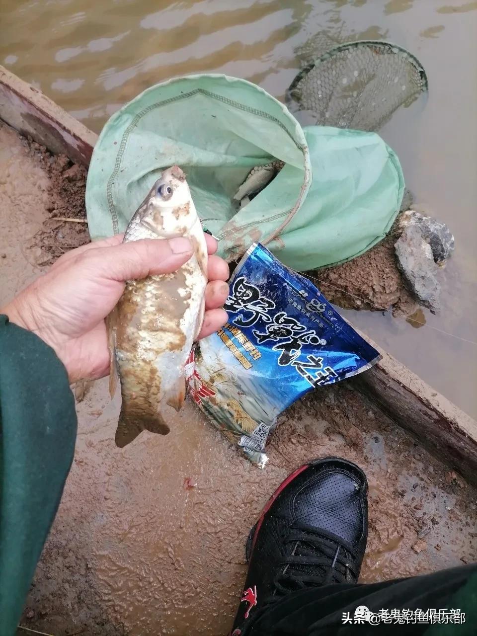 冬钓小野河，*战野**之王·腥香一包搞定