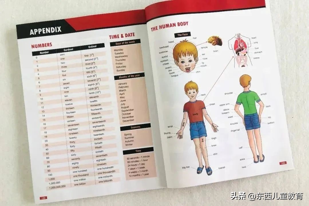 初升高快速记住英语单词书,江西省初中英语单词必背3500词汇