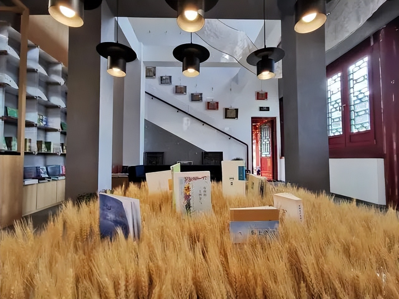 北京周末公园推荐,夏季北京公园好去处