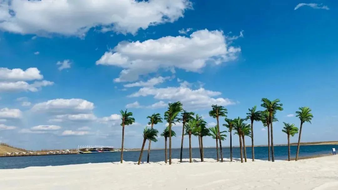 湿地游玩,湿地可以开发什么旅游项目