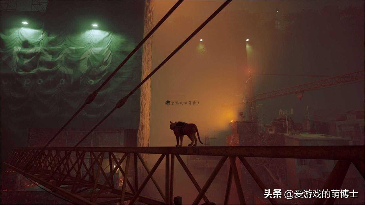 stray在steam多少钱,stray低配游戏推荐