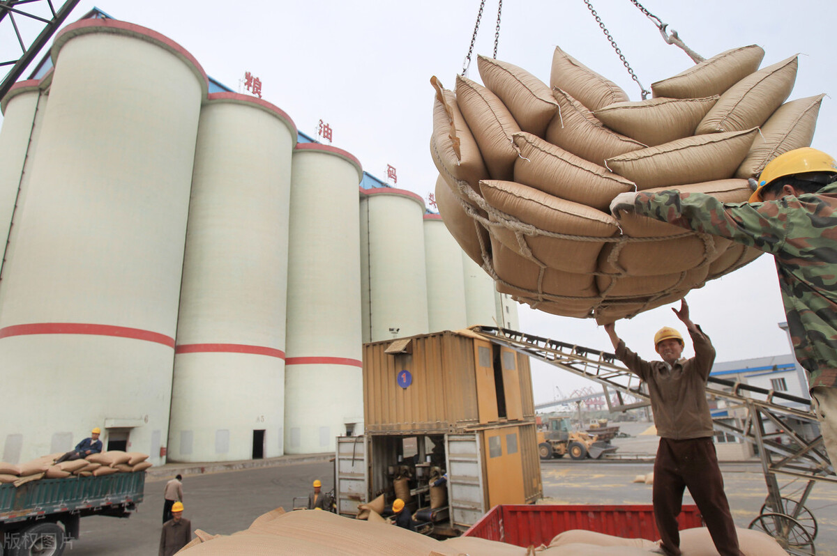 山东大豆价格最新行情现在怎么样,吉林省敦化市大豆价格最新行情