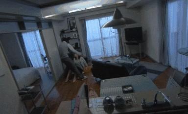 家暴男砍死柯基后续截图,家暴男砍死柯基后续