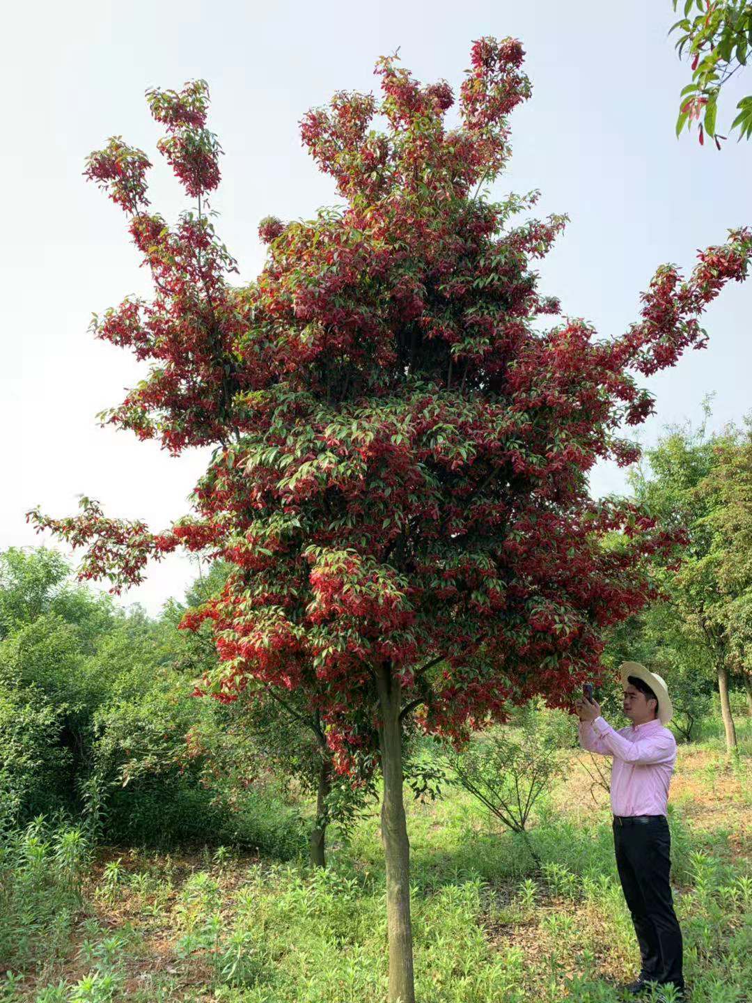 农村创业做什么最适合,乡镇小型创业项目