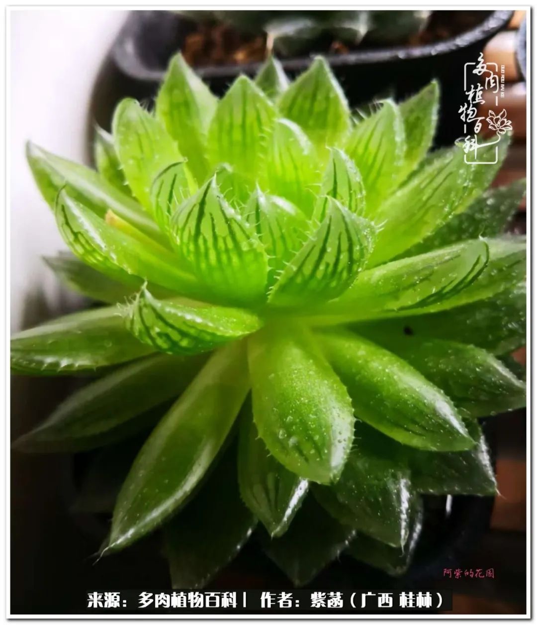 酷暑送清凉关爱入心田,酷暑慰问暖人心