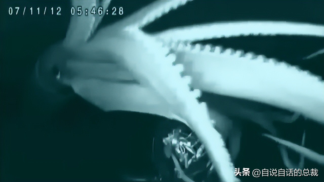 潜入深海寻找宝藏,潜入海底最深处你会发现什么