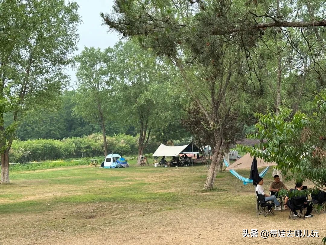 可搭帐篷公园,可以骑车搭帐篷的公园