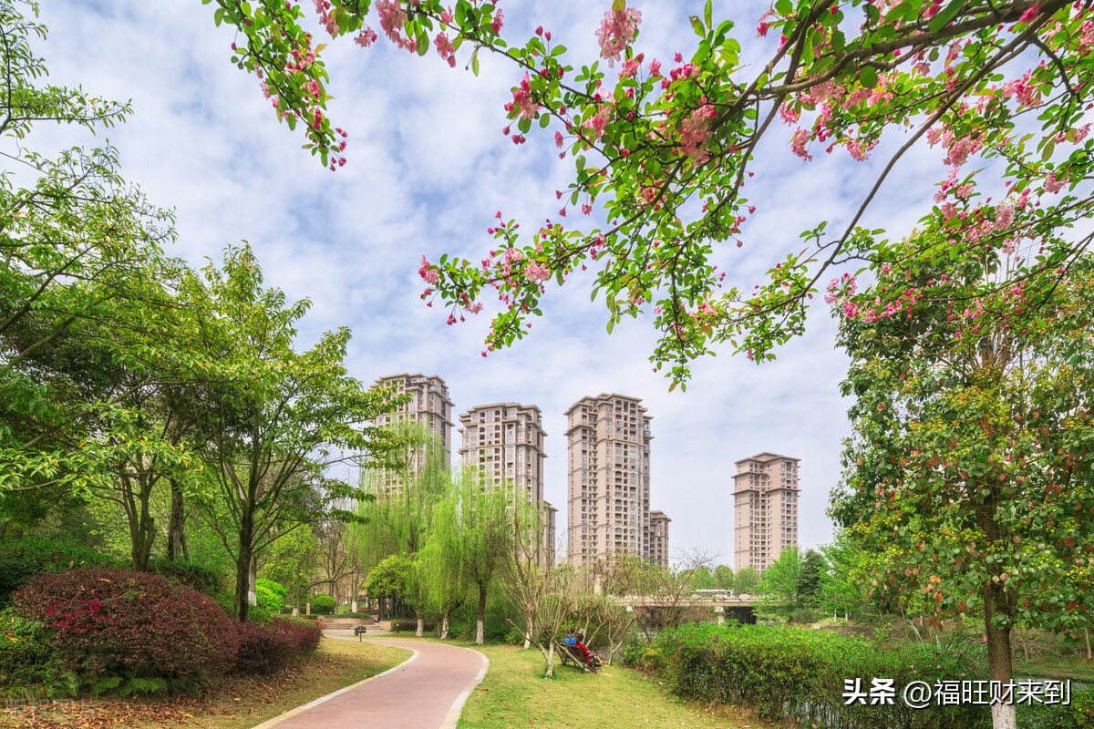 3月20日24节气的春分,2023年的春分节气