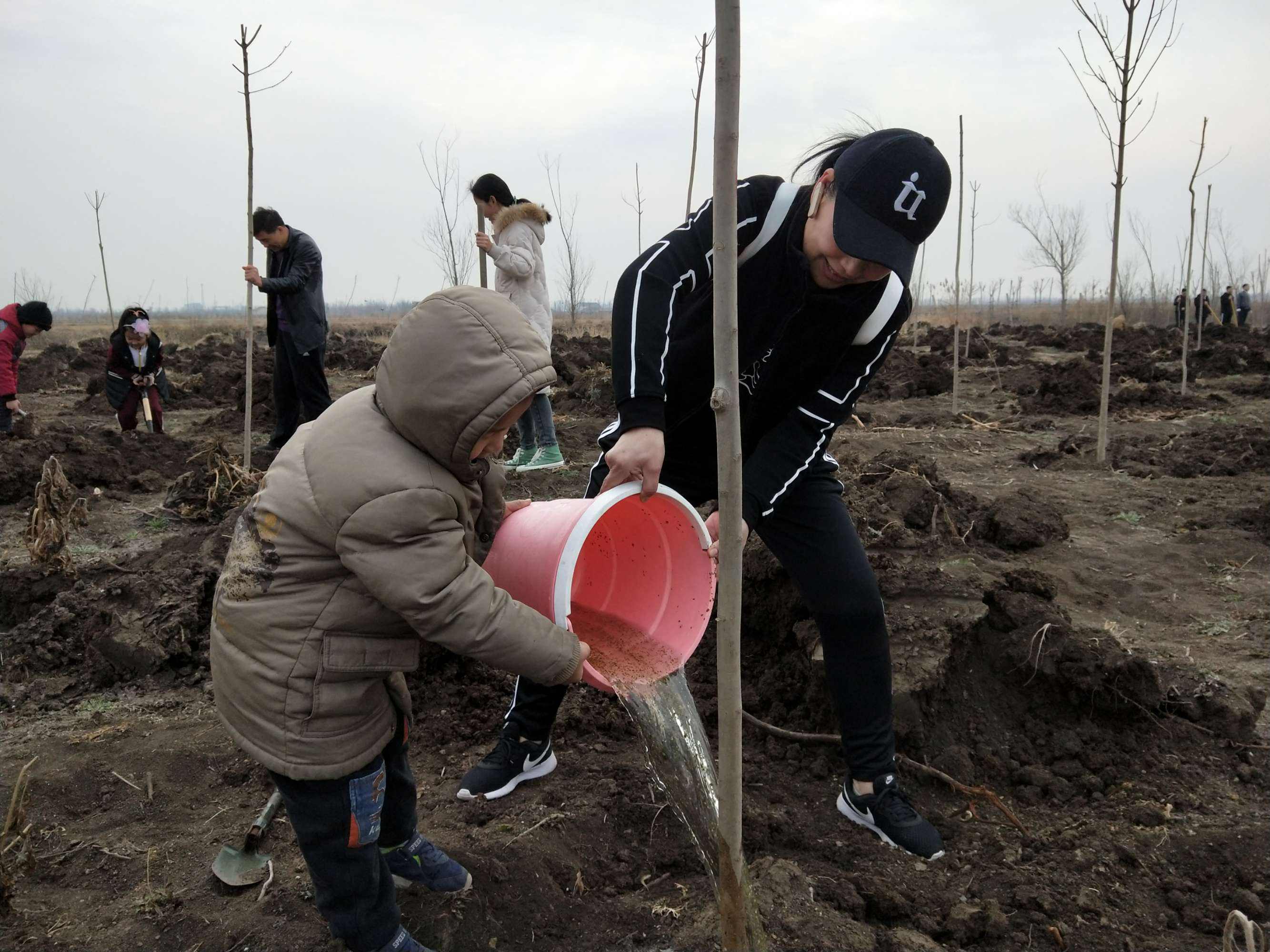 《说文解字》第621课：细说“卜”字