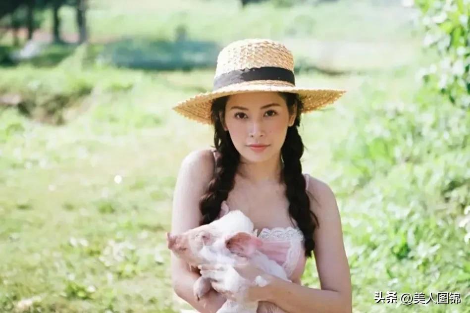 越南芝芙,芝芙越南