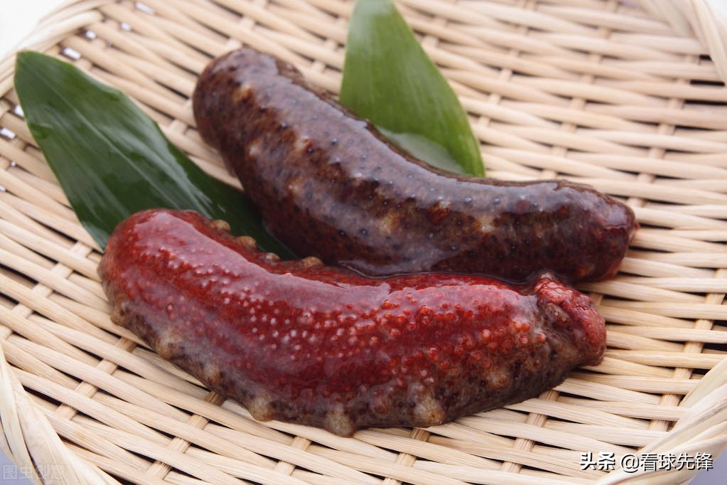 董路怒批韦世豪西瓜视频,董路怒批武磊完整视频