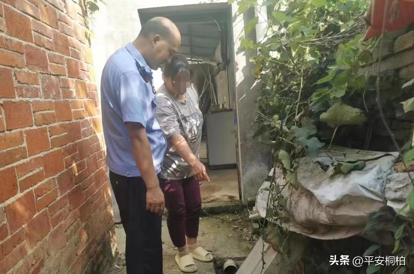 夏季行动治安打击整治,夏季专项整治行动成果