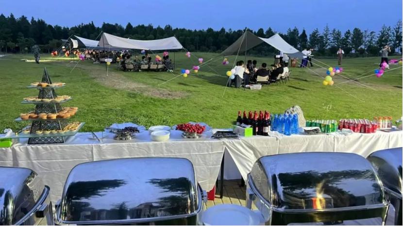 多弗集团文旅项目,多弗集团在朔州文旅康养小镇