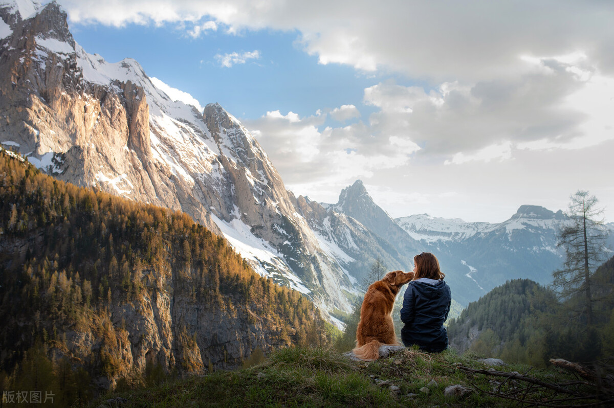 疫情放开哪些药最受欢迎,新一轮疫情备哪些药