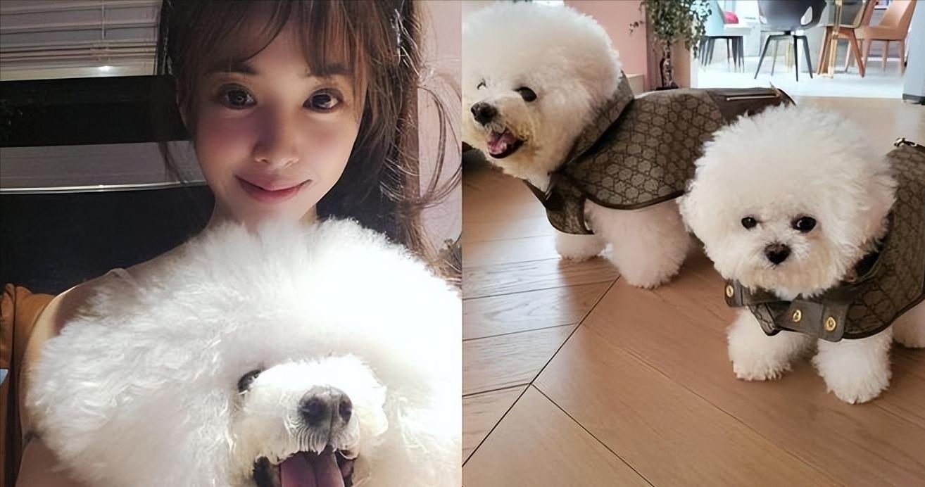 蔡依林戴奢侈品珠宝,蔡依林戴珠宝