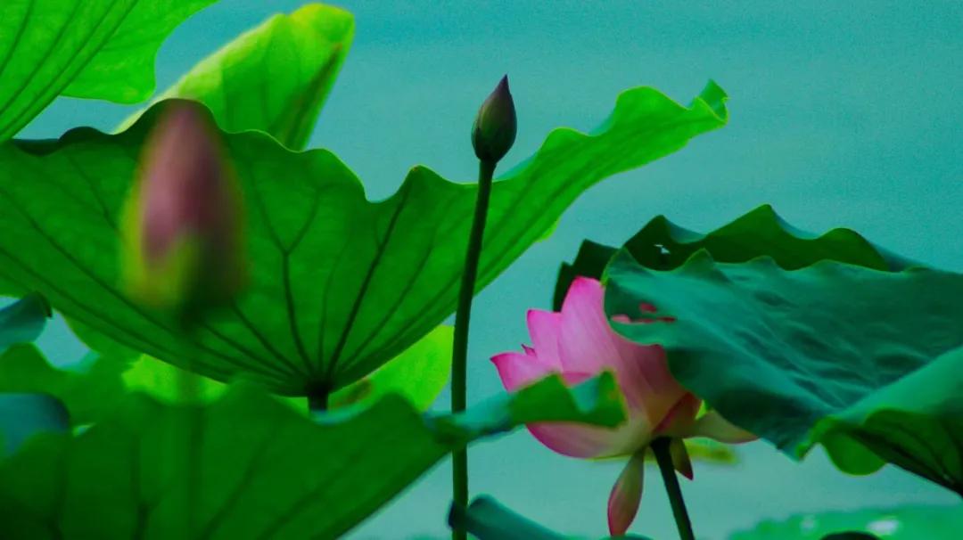 清远漂流一日游,清远清泉湾水上乐园跟团游