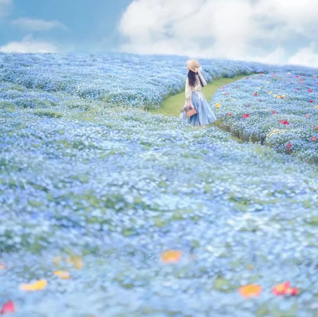 风景素材治愈系哪里找,高级感风景治愈系图片