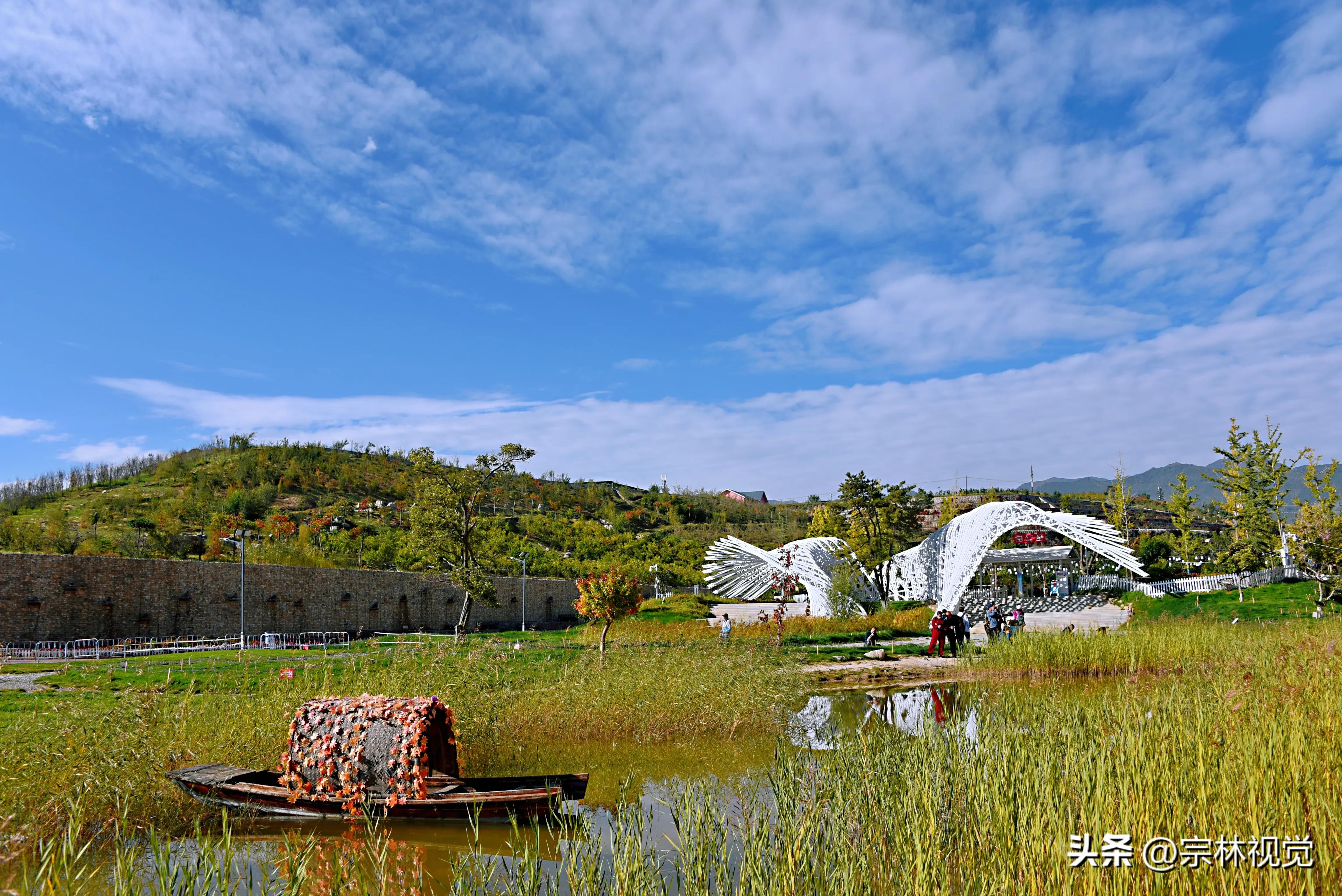 蓝天白云花海摄影高清图,蓝天白云花田滤镜搭配