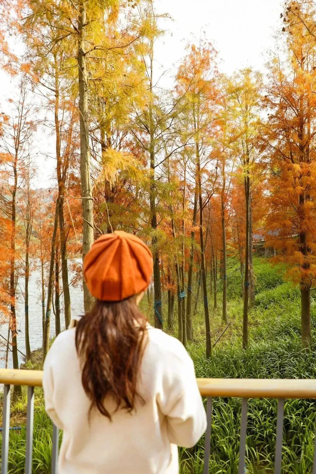 从化天人山水二日游,从化天人山水一日游攻略