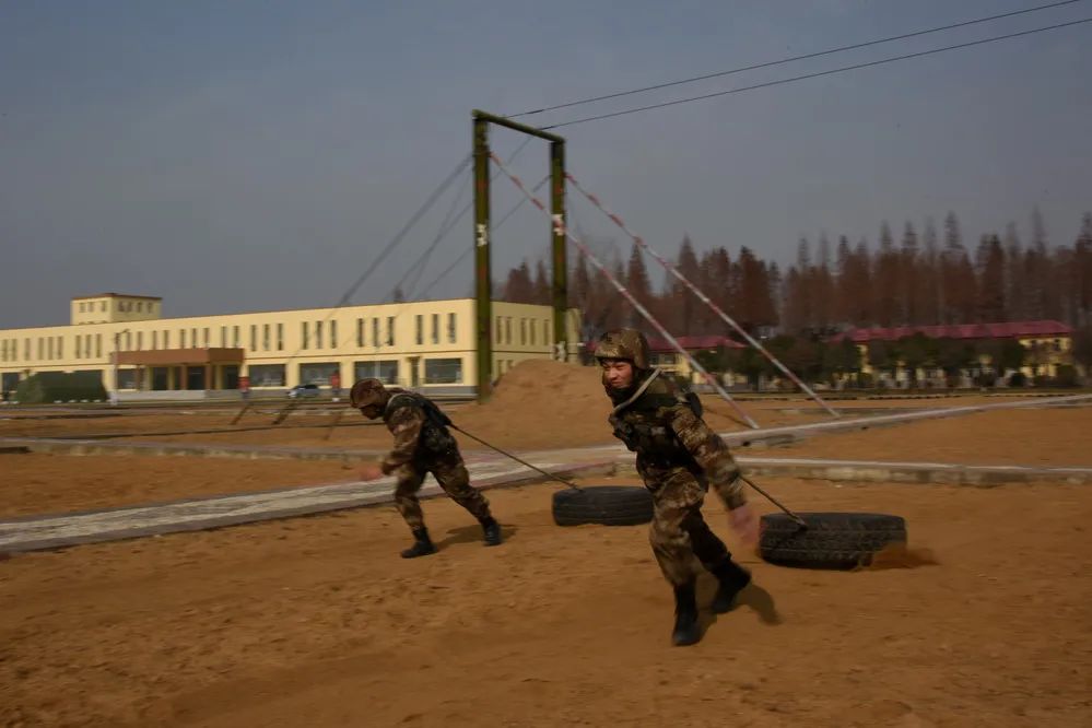 第71集团军“中野虎师”：“虎”为荣誉名，虎气霸屏！