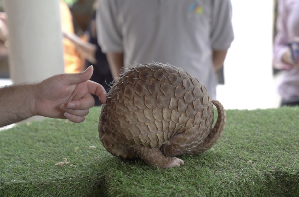 巴厘岛旅游必去100个地方,旅游目的地巴厘岛