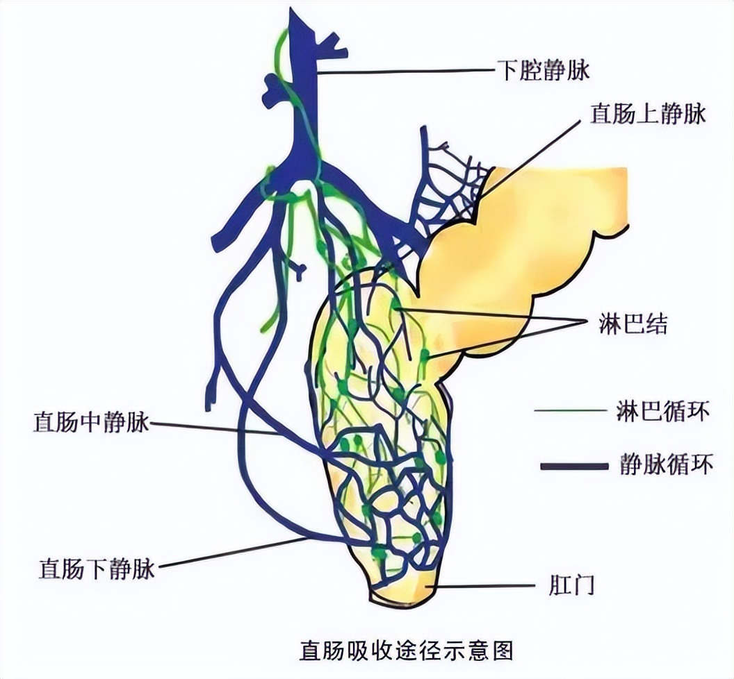 鍚冨畬绁炵鑽父鍚庣画,鍚冧笅鑳跺泭鐨勬亹鎬栫墖